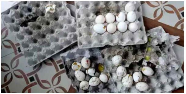 उत्तराखंड : बच्चों के लिए भेजे सड़े अंडे, खतरे में पड़ सकती है जान